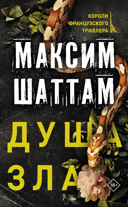 Книга Душа зла
