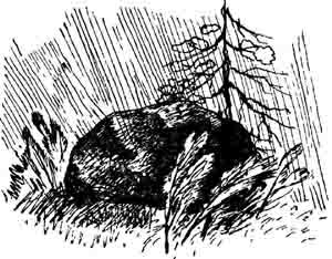 На маленьком кусочке Вселенной - image0190.jpg