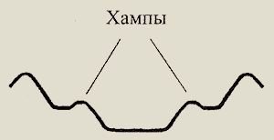 Автоликбез - hamp.jpg