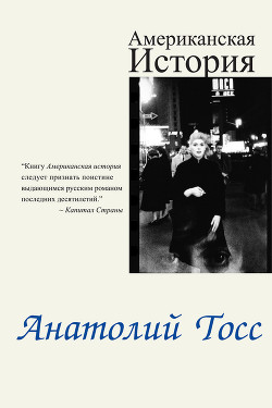Читать онлайн книгу Американская история автор Тосс Анатолий Книга Американская история