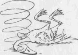 Искусство вождения автомобиля [с иллюстрациями] - z55.jpg