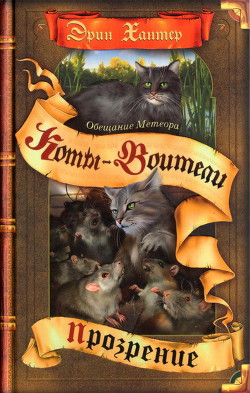 Книга Обещание Метеора. Прозрение