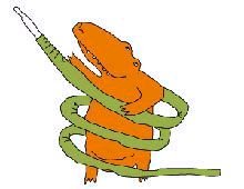 Хроники зеленого крокодильчика - pic_19.jpg