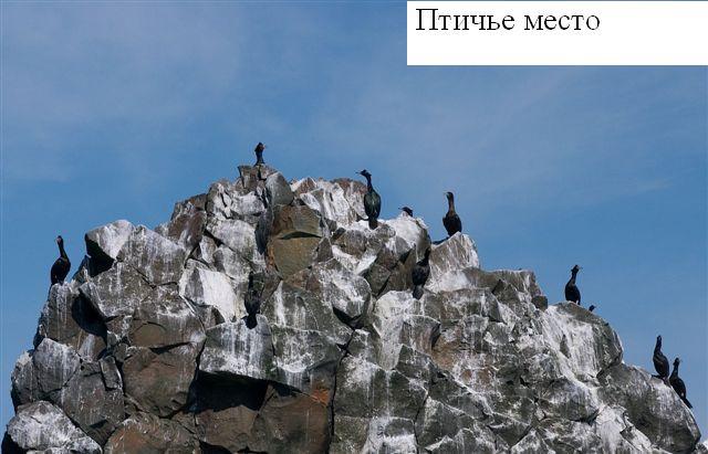 Атолл - pic_2.jpg