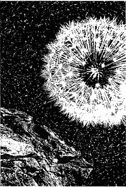 Кн. 7. Рассказы - i_005.jpg