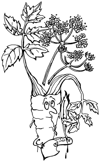 Растения, побеждающие боль. Дача — вылечит, дача — исцелит - i_009.png