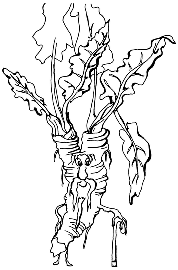 Растения, побеждающие боль. Дача — вылечит, дача — исцелит - i_016.png