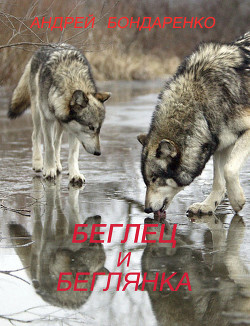 Книга Беглец и Беглянка (СИ)