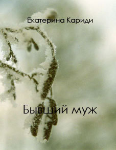 Книга Бывший муж (СИ)