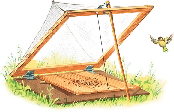 Все лучшие сказки и рассказы - i_018.png