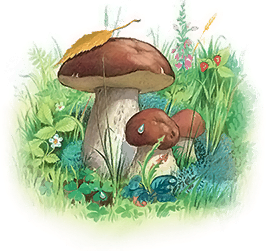 Все лучшие сказки и рассказы - i_022.png