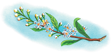 Все лучшие сказки и рассказы - i_036.png