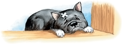 Все лучшие сказки и рассказы - i_047.png