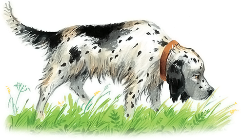 Все лучшие сказки и рассказы - i_049.png