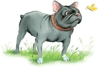 Все лучшие сказки и рассказы - i_050.png