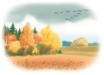 Все лучшие сказки и рассказы - i_055.png