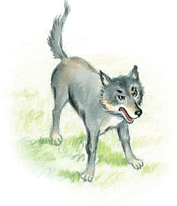 Все лучшие сказки и рассказы - i_079.png