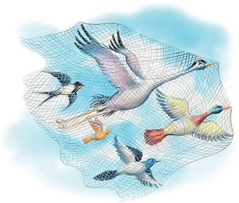 Все лучшие сказки и рассказы - i_138.png