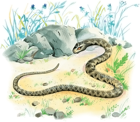 Все лучшие сказки и рассказы - i_146.png