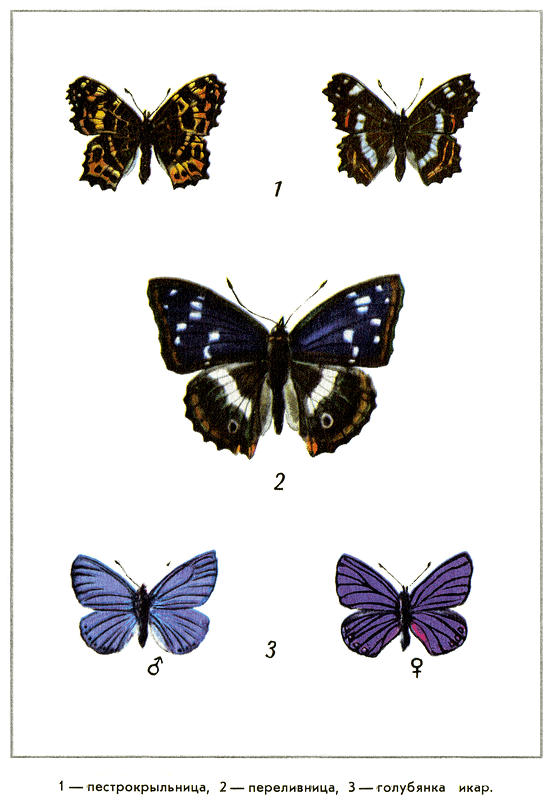 Путешествие на всю жизнь - i_009.png