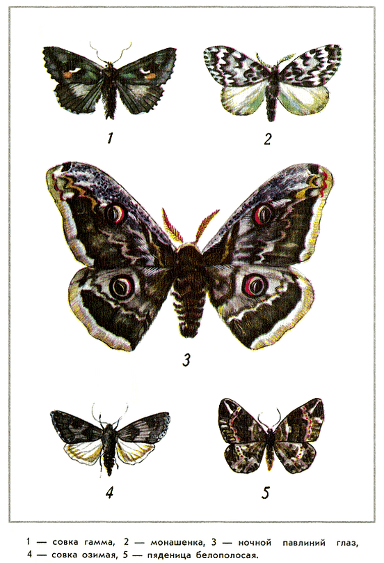 Путешествие на всю жизнь - i_012.png