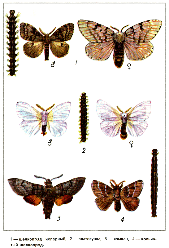 Путешествие на всю жизнь - i_014.png