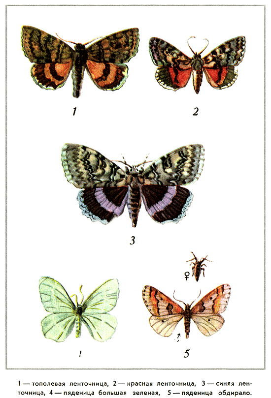 Путешествие на всю жизнь - i_015.png