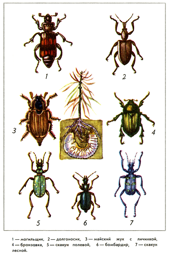 Путешествие на всю жизнь - i_016.png