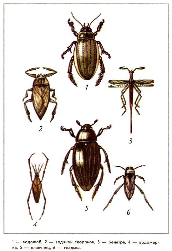 Путешествие на всю жизнь - i_018.png