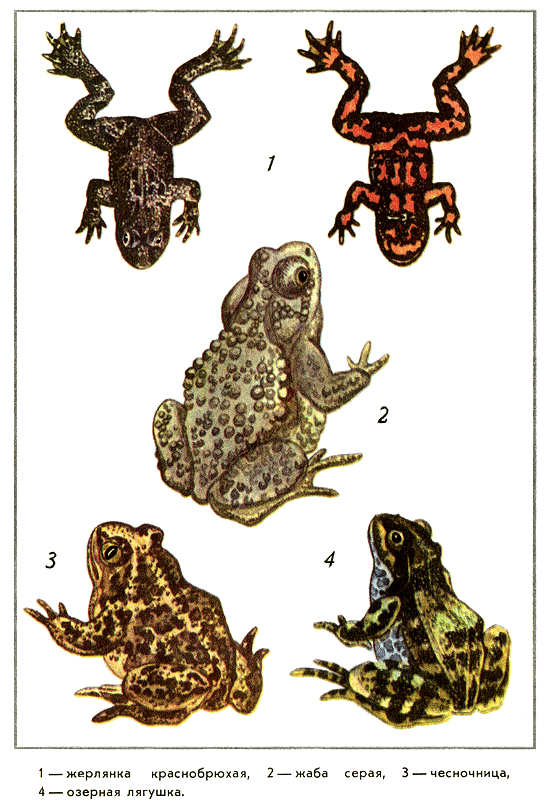 Путешествие на всю жизнь - i_023.png