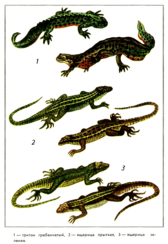 Путешествие на всю жизнь - i_024.png