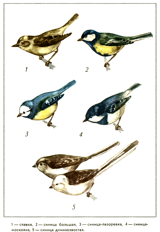 Путешествие на всю жизнь - i_026.png