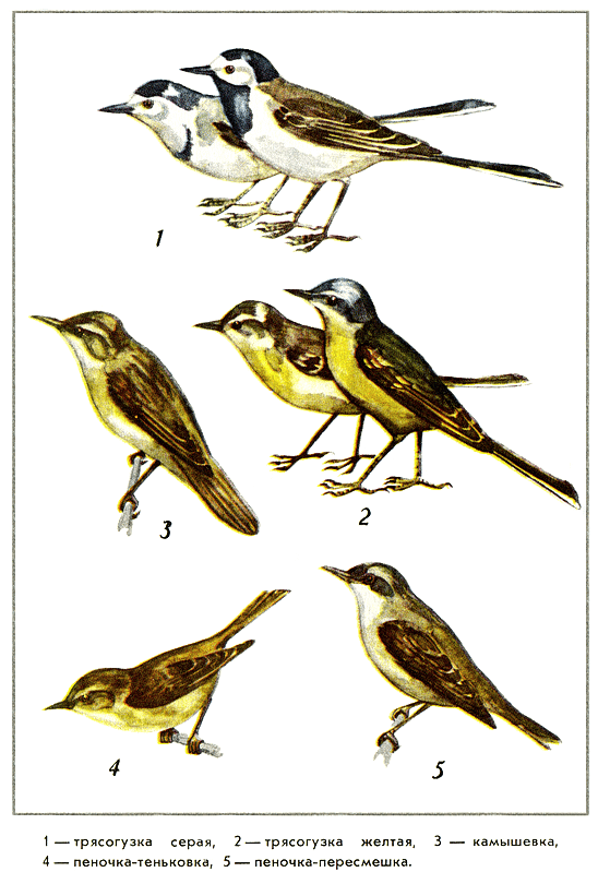 Путешествие на всю жизнь - i_027.png