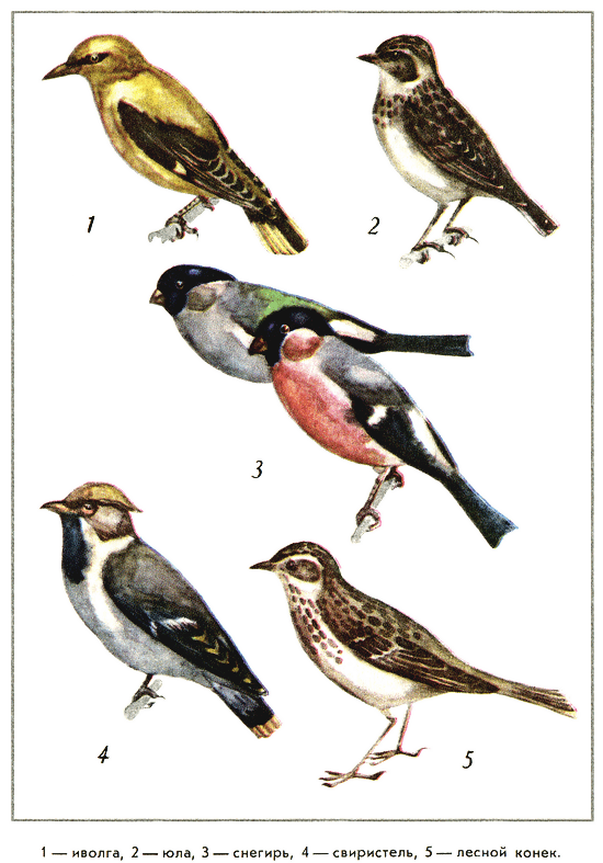 Путешествие на всю жизнь - i_028.png