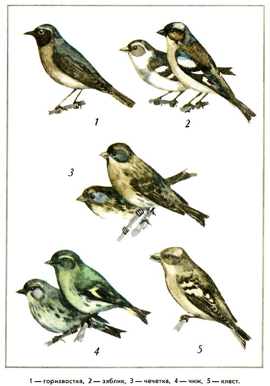 Путешествие на всю жизнь - i_030.png