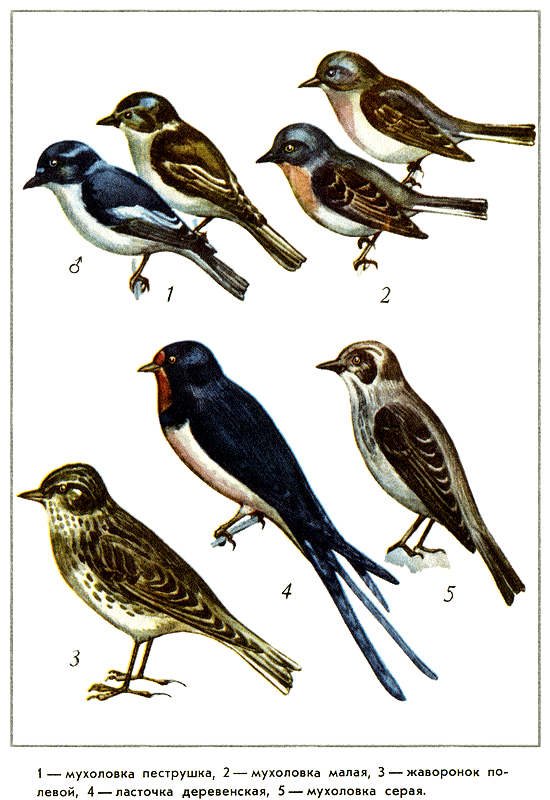 Путешествие на всю жизнь - i_031.png