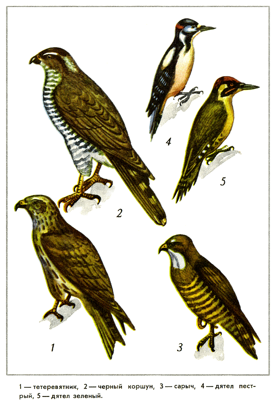 Путешествие на всю жизнь - i_036.png