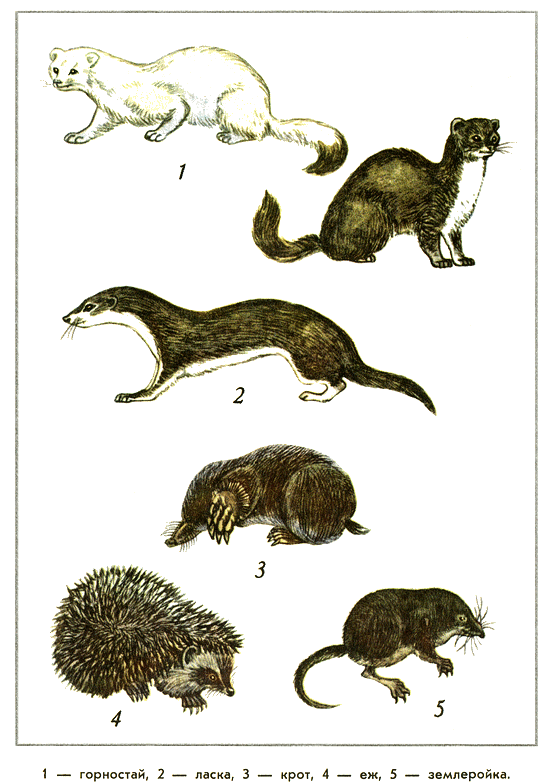 Путешествие на всю жизнь - i_037.png