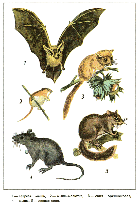 Путешествие на всю жизнь - i_038.png