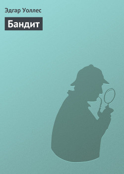 Книга Бандит