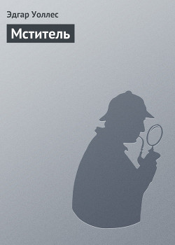 Книга Мститель