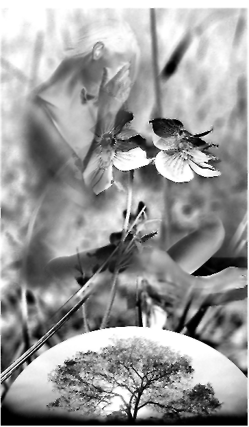 Подёнки - doc2fb_image_03000002.png