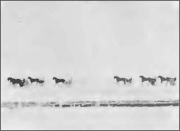 Основы композиции в фотографии - foto48.jpg