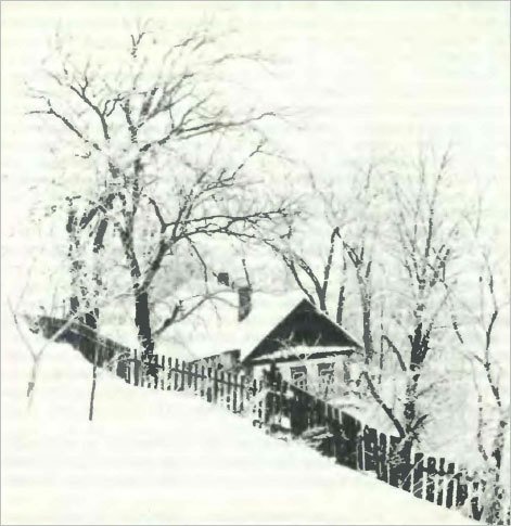 Основы композиции в фотографии - foto78.jpg