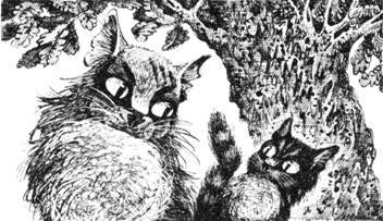 Тайна Щербатой. Наказание - pic_20.jpg