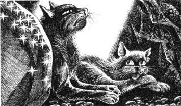 Тайна Щербатой. Наказание - pic_26.jpg