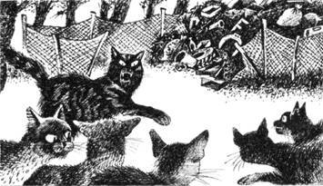 Тайна Щербатой. Наказание - pic_28.jpg