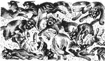 Тайна Щербатой. Наказание - pic_34.jpg