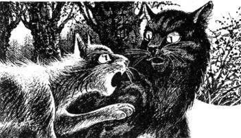 Тайна Щербатой. Наказание - pic_36.jpg