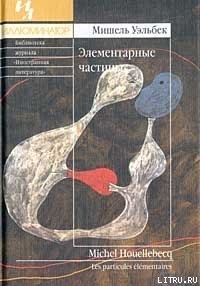 Книга Элементарные частицы